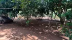 Foto 10 de Fazenda/Sítio com 3 Quartos à venda, 9942m² em Zona Rural, Professor Jamil