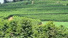 Foto 6 de Fazenda/Sítio à venda, 455000m² em Zona Rural, Turvolândia