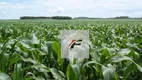 Foto 3 de Fazenda/Sítio à venda, 3610000m² em Zona Rural, Guarapuava