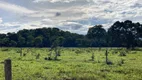 Foto 5 de Fazenda/Sítio à venda em Centro, Paracatu