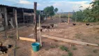 Foto 19 de Fazenda/Sítio com 3 Quartos à venda, 150m² em Zona Rural, Anápolis