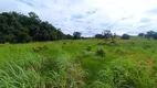 Foto 8 de Fazenda/Sítio com 3 Quartos à venda, 3100000m² em , Paraíso do Tocantins