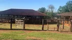 Foto 13 de Fazenda/Sítio com 2 Quartos à venda, 11850000m² em Area Rural de Uberaba, Uberaba