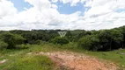 Foto 2 de Lote/Terreno à venda, 6969m² em Colonia Antonio Prado, Almirante Tamandaré