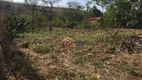 Foto 4 de Lote/Terreno à venda, 10000m² em Piedade, Caçapava