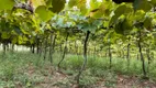 Foto 10 de Lote/Terreno à venda em Centro, Monte Belo do Sul