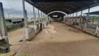 Foto 10 de Imóvel Comercial à venda, 2400m² em Navegantes, Porto Alegre