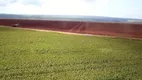 Foto 54 de Fazenda/Sítio com 3 Quartos à venda, 19500000m² em Area Rural de Planaltina, Brasília