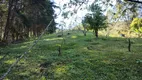 Foto 3 de Fazenda/Sítio à venda, 10000m² em Zona Rural, Marmelópolis