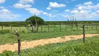 Foto 8 de Fazenda/Sítio com 3 Quartos à venda, 300000m² em Zona Rural, Jandaíra