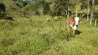 Foto 15 de Fazenda/Sítio com 3 Quartos à venda, 363000m² em Bairro Alto, Natividade da Serra