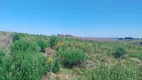 Foto 7 de Fazenda/Sítio à venda, 2250000m² em Centro, Cambará do Sul