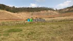 Foto 20 de Fazenda/Sítio com 1 Quarto à venda, 222m² em Zona Rural, Rio Casca