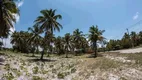 Foto 4 de Lote/Terreno à venda, 450m² em Porto de Galinhas, Ipojuca