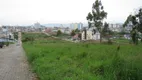 Foto 2 de Lote/Terreno para alugar, 360m² em Areias, São José