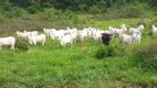 Foto 10 de Fazenda/Sítio à venda, 9075000m² em Zona Rural, Doverlândia