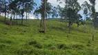 Foto 28 de Lote/Terreno à venda, 36000m² em Zona Rural, Delfim Moreira