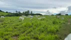 Foto 12 de Fazenda/Sítio com 3 Quartos à venda, 200m² em , Monte Alegre