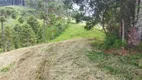 Foto 9 de Lote/Terreno à venda, 7000m² em Centro, Gonçalves