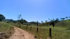 Foto 36 de Fazenda/Sítio com 1 Quarto à venda, 140m² em Zona Rural, Colinas do Sul