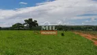 Foto 7 de Fazenda/Sítio com 4 Quartos à venda, 242000m² em Zona Rural, Bonfinópolis