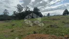 Foto 3 de Lote/Terreno para alugar, 5001m² em São Ciro, Caxias do Sul