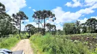 Foto 29 de Fazenda/Sítio com 2 Quartos à venda, 450000m² em Centro, Rio Rufino