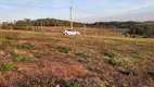 Foto 3 de Lote/Terreno à venda, 190m² em Vila Moraes, Mogi das Cruzes