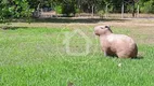 Foto 21 de Fazenda/Sítio à venda, 30000m² em Zona Rural, Santo Antônio do Leverger