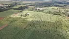 Foto 8 de Fazenda/Sítio à venda, 500000m² em Ponte Alta Norte, Brasília