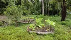 Foto 8 de Fazenda/Sítio com 1 Quarto à venda, 40000m² em Centro, Tapiraí