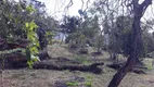 Foto 6 de Fazenda/Sítio com 3 Quartos à venda, 350m² em Sousas, Campinas