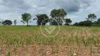 Foto 19 de Fazenda/Sítio à venda, 20m² em Zona Rural, Hidrolândia