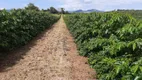 Foto 11 de Fazenda/Sítio com 2 Quartos à venda, 1930000m² em Zona Rural, Três Corações