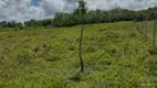 Foto 9 de Fazenda/Sítio à venda, 36000m² em Aldeia, Camaragibe