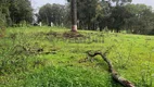 Foto 6 de Lote/Terreno à venda, 2080m² em Borda do Campo, São José dos Pinhais