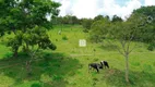 Foto 47 de Fazenda/Sítio com 7 Quartos à venda, 1200m² em , Brasília