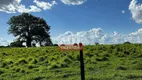 Foto 24 de Fazenda/Sítio à venda, 3538m² em Zona Rural, São Miguel do Araguaia