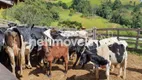 Foto 15 de Fazenda/Sítio com 5 Quartos à venda, 100000m² em , Virgínia