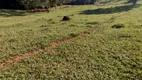 Foto 54 de Fazenda/Sítio com 2 Quartos à venda, 10m² em Zona Rural , Morrinhos