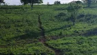 Foto 12 de Fazenda/Sítio com 4 Quartos à venda, 300m² em , Boa Saúde