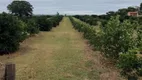 Foto 3 de Fazenda/Sítio com 3 Quartos à venda, 180m² em Parque Interlagos, Aguaí