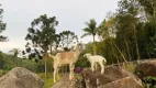 Foto 15 de Fazenda/Sítio com 8 Quartos à venda, 1300m² em do Carmo Canguera, São Roque