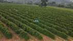 Foto 6 de Fazenda/Sítio com 1 Quarto à venda, 184600m² em Zona Rural, Cabo Verde