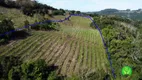 Foto 14 de Fazenda/Sítio à venda, 70000m² em Zona Rural, Monte Belo do Sul