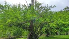 Foto 29 de Fazenda/Sítio com 3 Quartos à venda, 200m² em Centro, Salgado