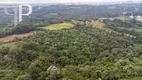 Foto 16 de Fazenda/Sítio com 1 Quarto à venda, 14500m² em São Miguel, Almirante Tamandaré