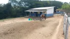 Foto 22 de Fazenda/Sítio com 4 Quartos à venda, 39m² em Zona Rural, Fortuna de Minas