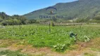 Foto 42 de Fazenda/Sítio com 3 Quartos à venda, 25000m² em Ratones, Florianópolis