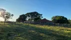 Foto 16 de Fazenda/Sítio com 3 Quartos à venda, 264000m² em Setor Central, Morrinhos